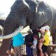 Family Adventures Safari holiday image