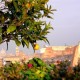 Charming city hotel image