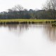 Pet Friendly Accessible Lake View Cottage - with hot tub image