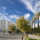 Moroccan Charm Hotel image