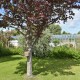 Wildlife Treasure Cottage image