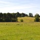 Countryside Cottage image