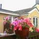 Accessible cottage 2, near Southport image