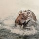 Celebrity Alaskan Cruises image
