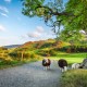 Classic Lake District - Coach holiday image