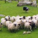 Classic Lake District - Coach holiday image