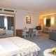 Accessible Spa Hotel image