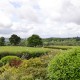 Accessible Farm Cottage image
