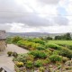 Accessible Farm Cottage image