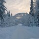 Accessible Swedish Lapland Apartments image