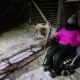 Accessible Swedish Lapland Apartments image