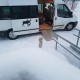 Accessible Swedish Lapland Apartments image