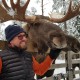 Accessible Swedish Lapland Apartments image