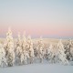 Accessible Swedish Lapland Apartments image