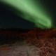Accessible Swedish Lapland Apartments image