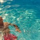 Accessible P&O Cruises image