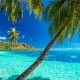 P&O South Pacific Cruises image