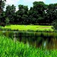 Country Park Hotel image
