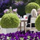 Country Park Hotel image