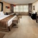 Accessible 5 Star Hotel image