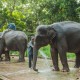 Thailand - Bangkok & Beaches (Group tour) image