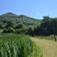 Old Henhouse Hideaway image