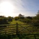 Old Henhouse Hideaway image