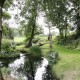 Woodland Cottage image