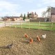 The Granary image
