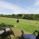 The Shire Hut image