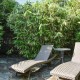 Accessible country cottage image