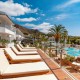 Palm Tree Hotel image